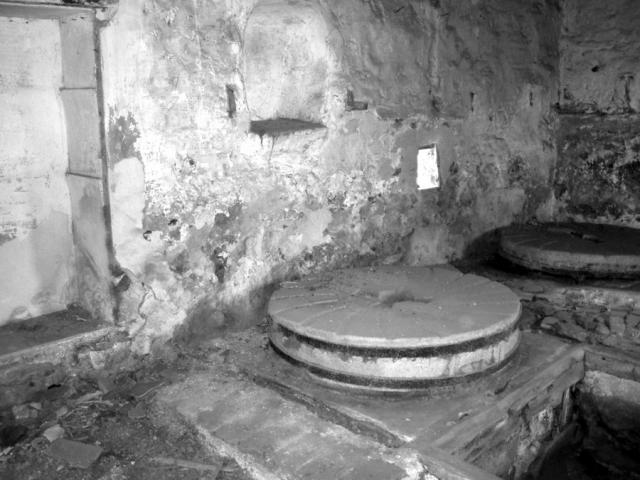 Mol__ Porrona al cam__ Vora Riu- esquerra_ A 200 m_ de la Travessa S Antoni _3_.jpg