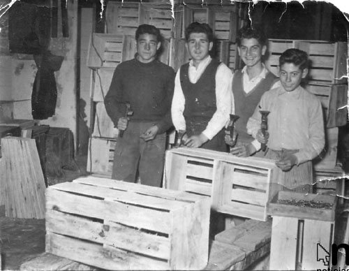 TarongesMagatzem50capa _2_.jpg