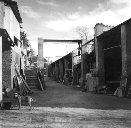 VorariuMoli Montserrat40VicentLlop41.jpg