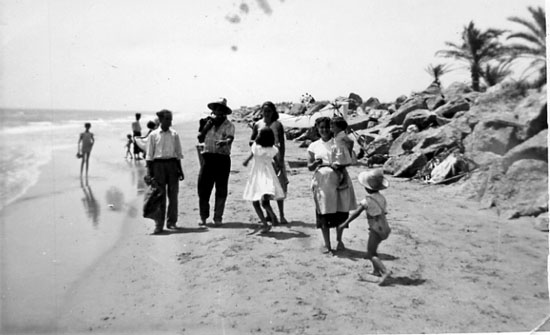 VoramarPalmClaramonte55Conxa Fabregat.jpg