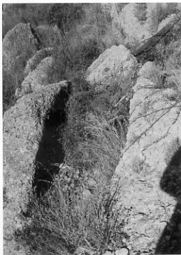 img267.jpg