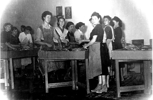 Faenes_conserves de peig1955_RAgut.jpg