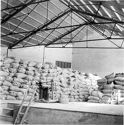 Faenes_taronges_adobs_magatzem sindicat_1950.jpg