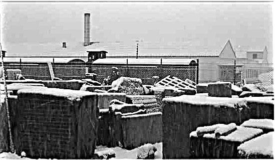 img049_001.jpg