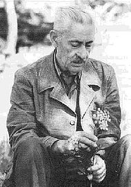 190px-Botanico_Manuel_calduch.jpg