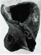 got amb cassoleta Assut.jpg