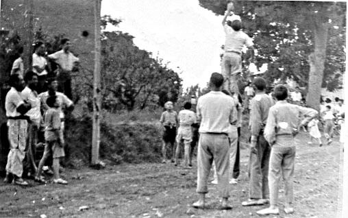 Pollastre en corda_001.jpg