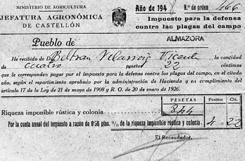 Plagues del camp