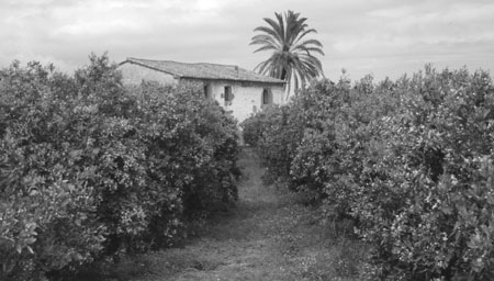 Porrona